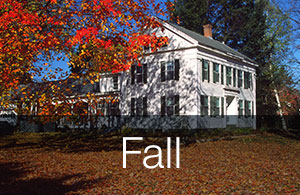 House and yard during Fall 